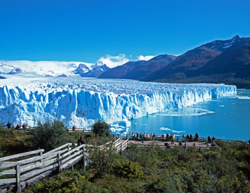 CALAFATE